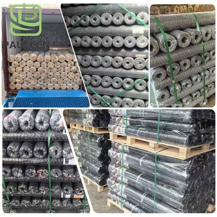 Wire Mesh Netting price